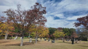 季節外れの暖かい１日　上田は最高気温３１．２℃