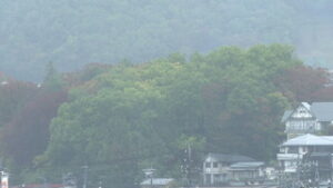 上田地域は雨